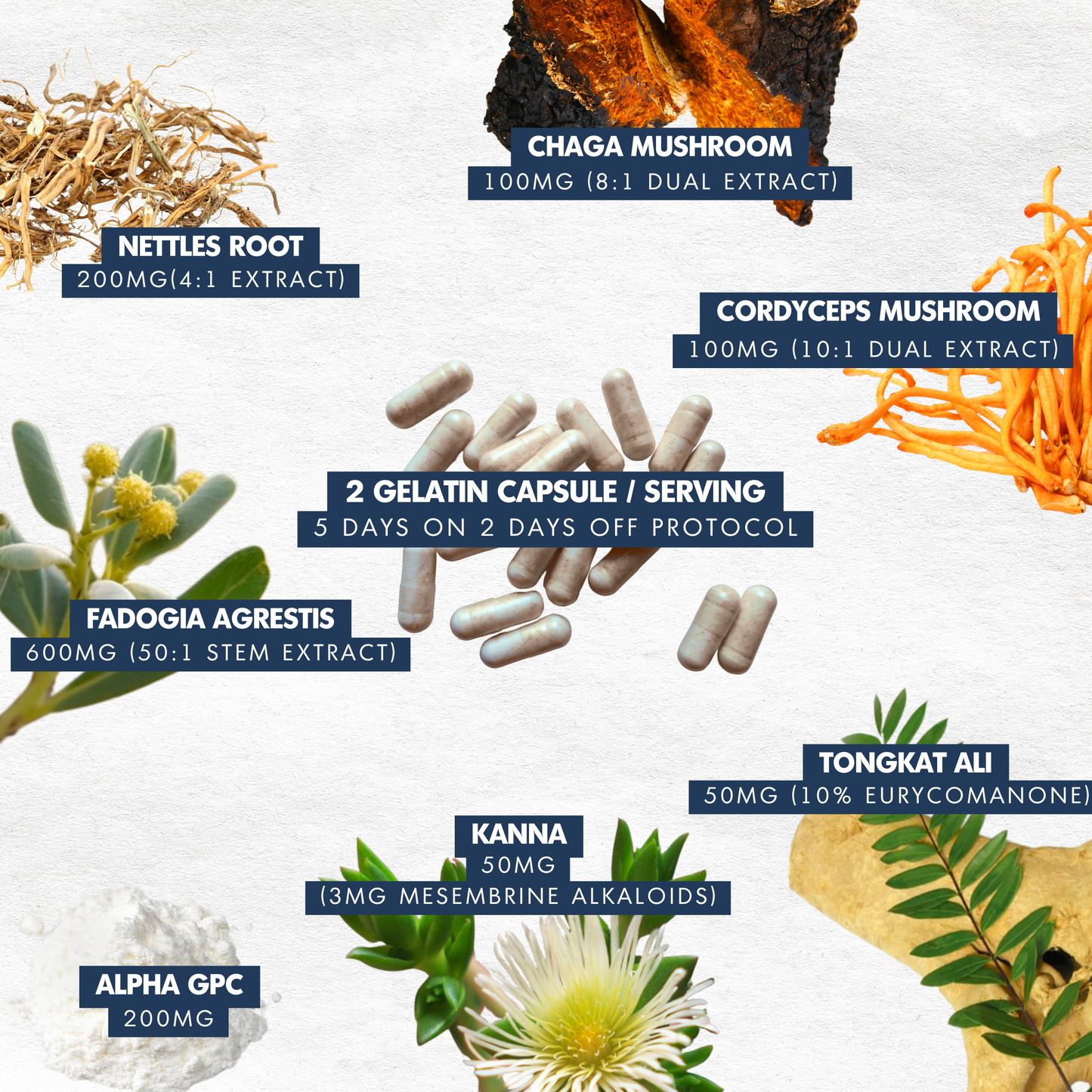 VITAL MAN – 5-DAY SAMPLE PACK