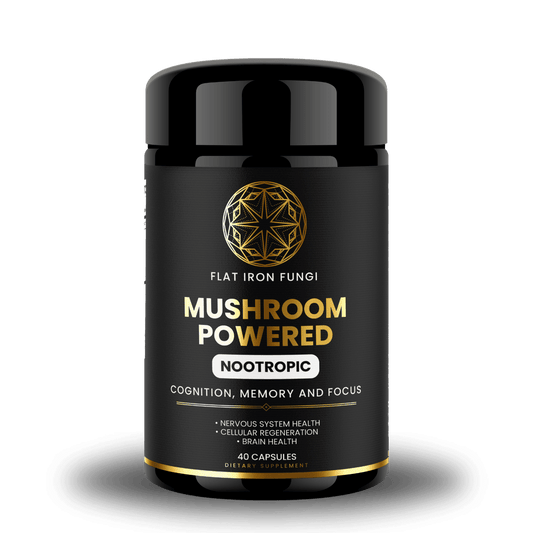  A bottle of Flat Iron Fungi Mushroom Nootropic, a brain-boosting supplement with Lion’s Mane, Reishi, and Cordyceps for focus and mental clarity.